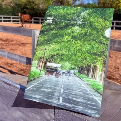 擬似エンボスクリアファイル